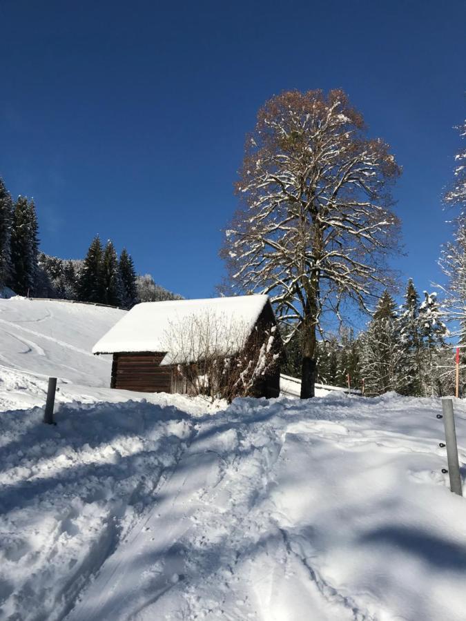 Kaiserblick Goisern 巴德哥依斯恩 外观 照片
