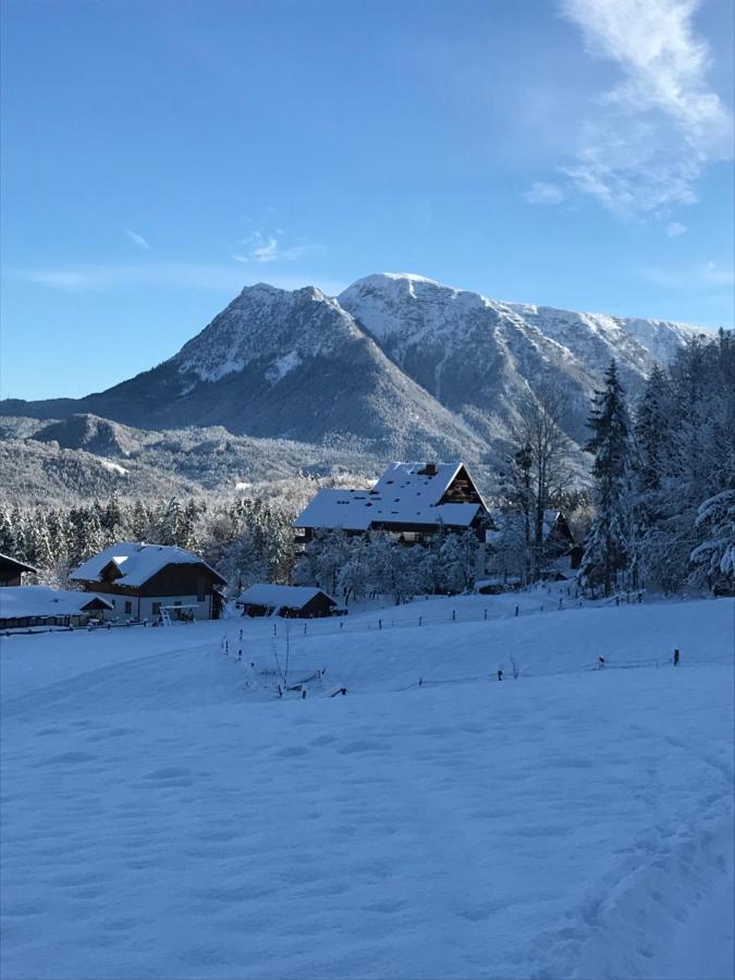 Kaiserblick Goisern 巴德哥依斯恩 外观 照片
