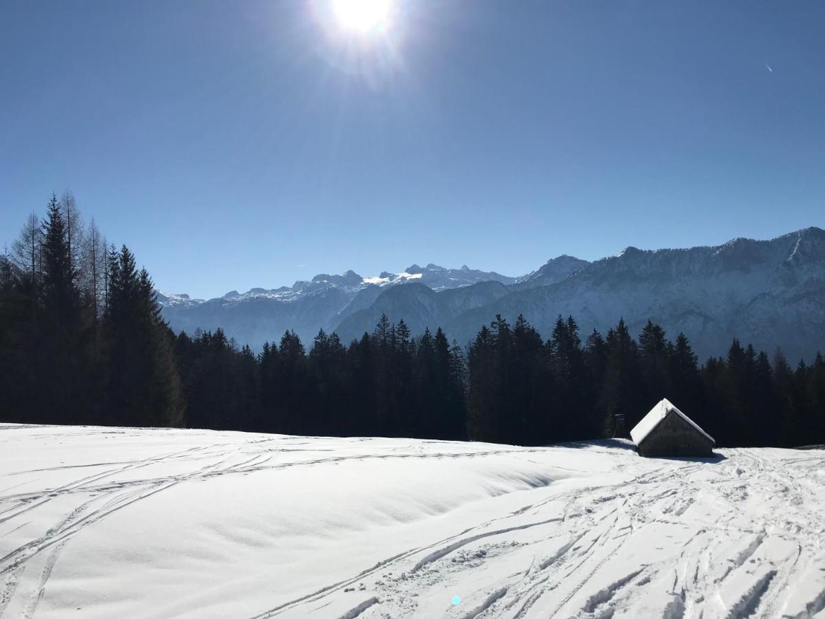 Kaiserblick Goisern 巴德哥依斯恩 外观 照片