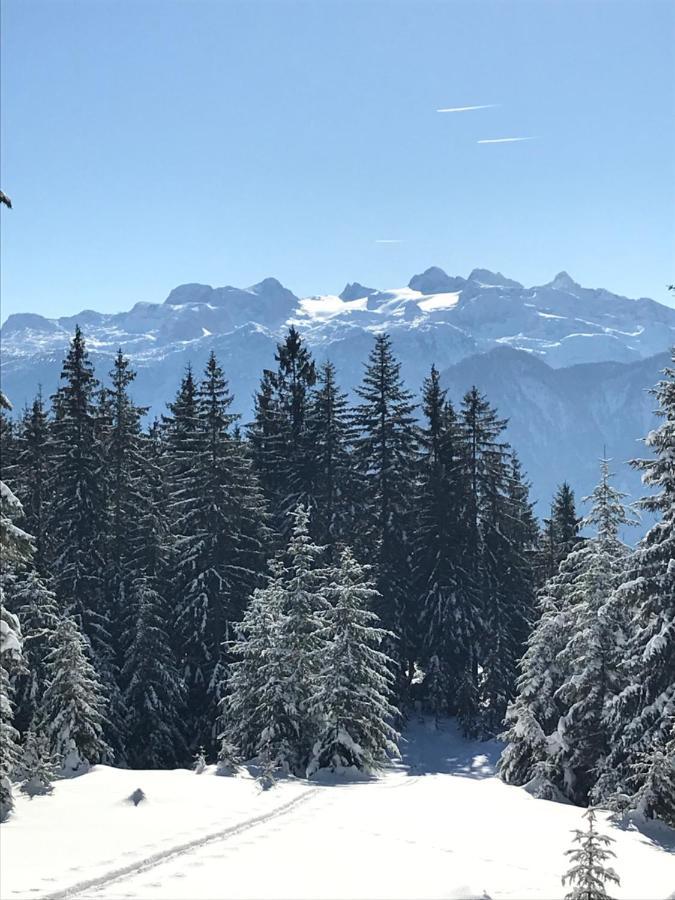 Kaiserblick Goisern 巴德哥依斯恩 外观 照片