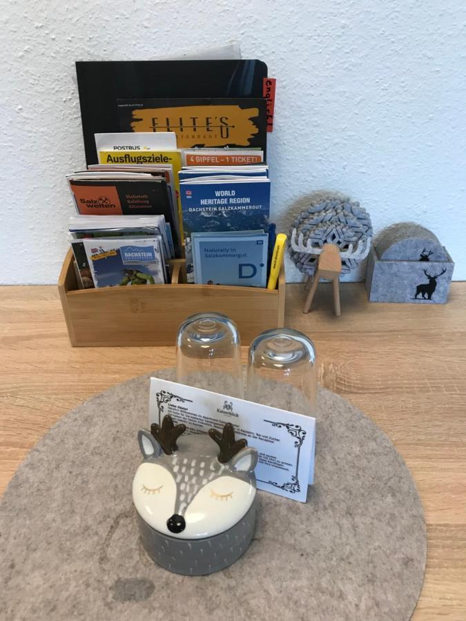 Kaiserblick Goisern 巴德哥依斯恩 外观 照片